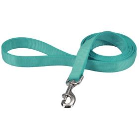 Coastal Pet Double ply Nylon Dog Lead Teal